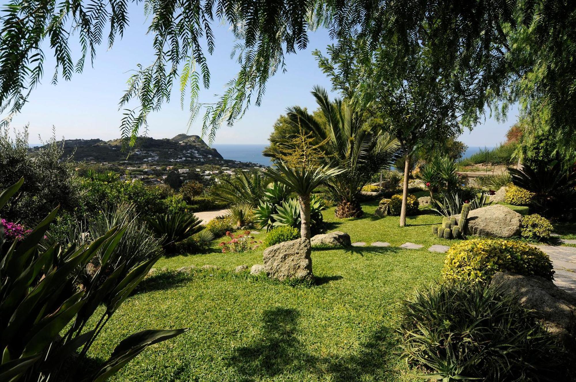 דירות Forio di Ischia Casa Ischitana מראה חיצוני תמונה