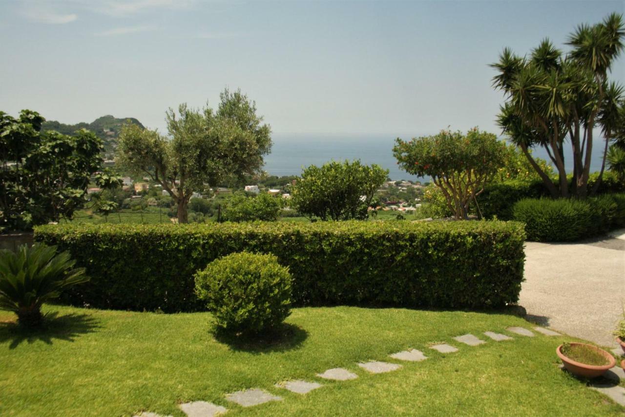 דירות Forio di Ischia Casa Ischitana מראה חיצוני תמונה